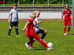 Hillen Cup 2024